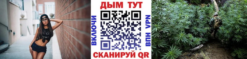 Гашиш Богучар