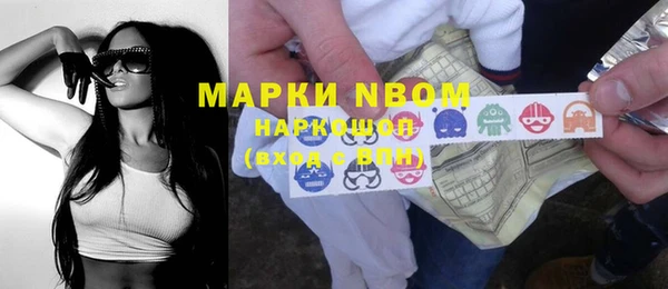 сатива Баксан