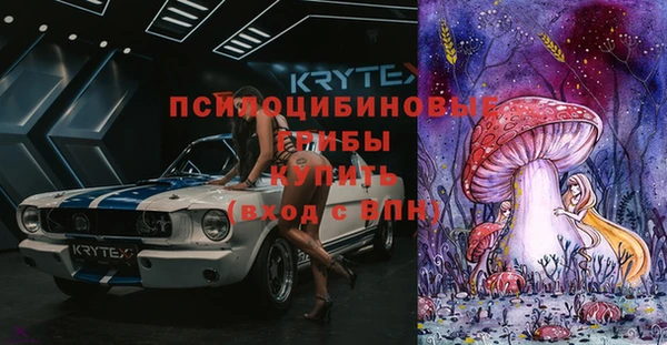 сатива Баксан