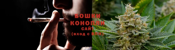 PSILOCYBIN Балахна