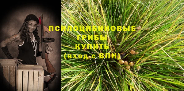 сатива Баксан