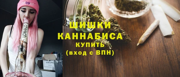 сатива Баксан