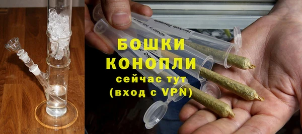 PSILOCYBIN Балахна